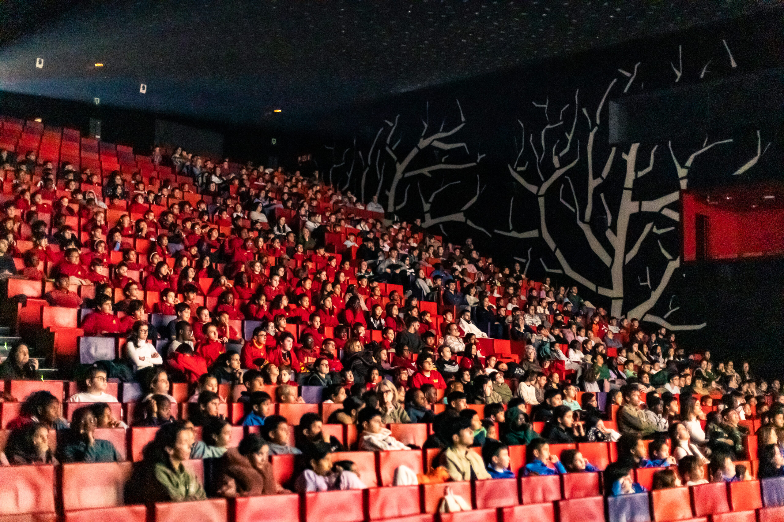 Sessions escolars - ANIMAC